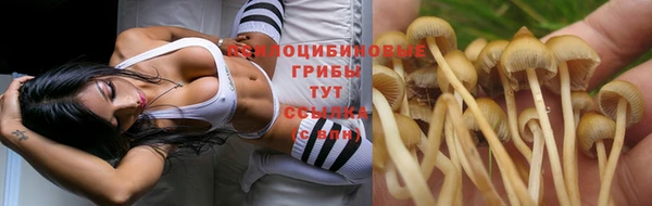 гашишное масло Ельня