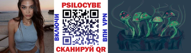 Купить закладки  Ирбит  Псилоцибиновые грибы Psilocybe 